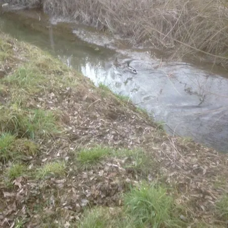 Privat bolig Les 4 M *