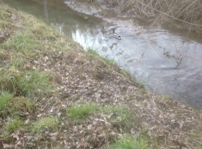 Privat bolig Les 4 M *